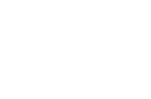 FBGA