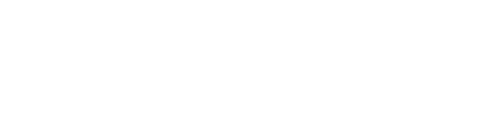 FIT V